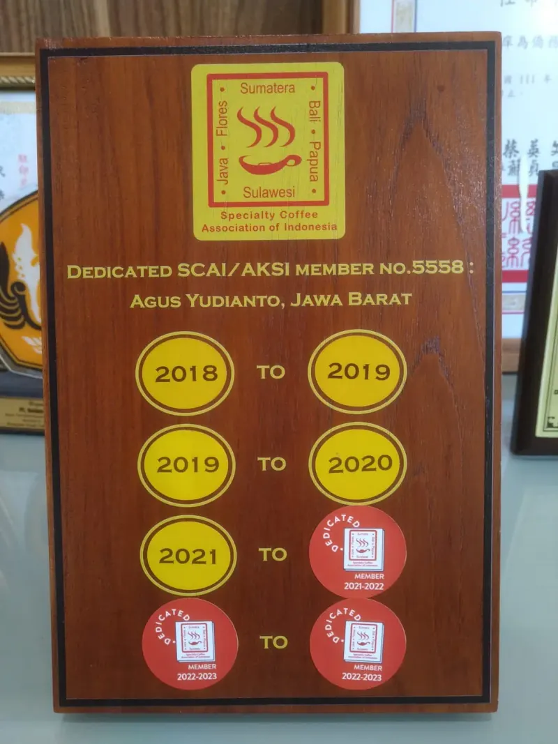SCAI 活動獎牌